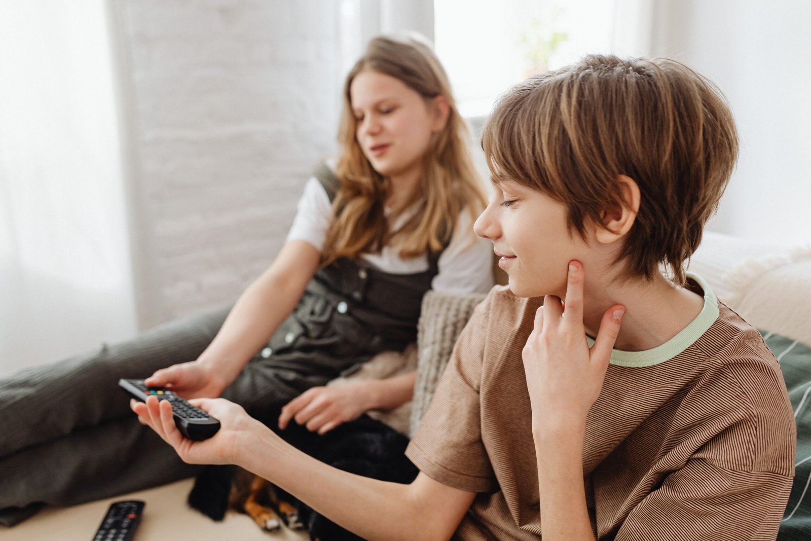 Dicas de filmes: como escolher boas produções para assistir em casa